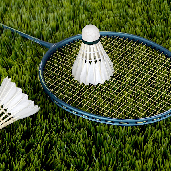 BADMINTON (SPORTS HALL)